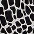 Black Ivory