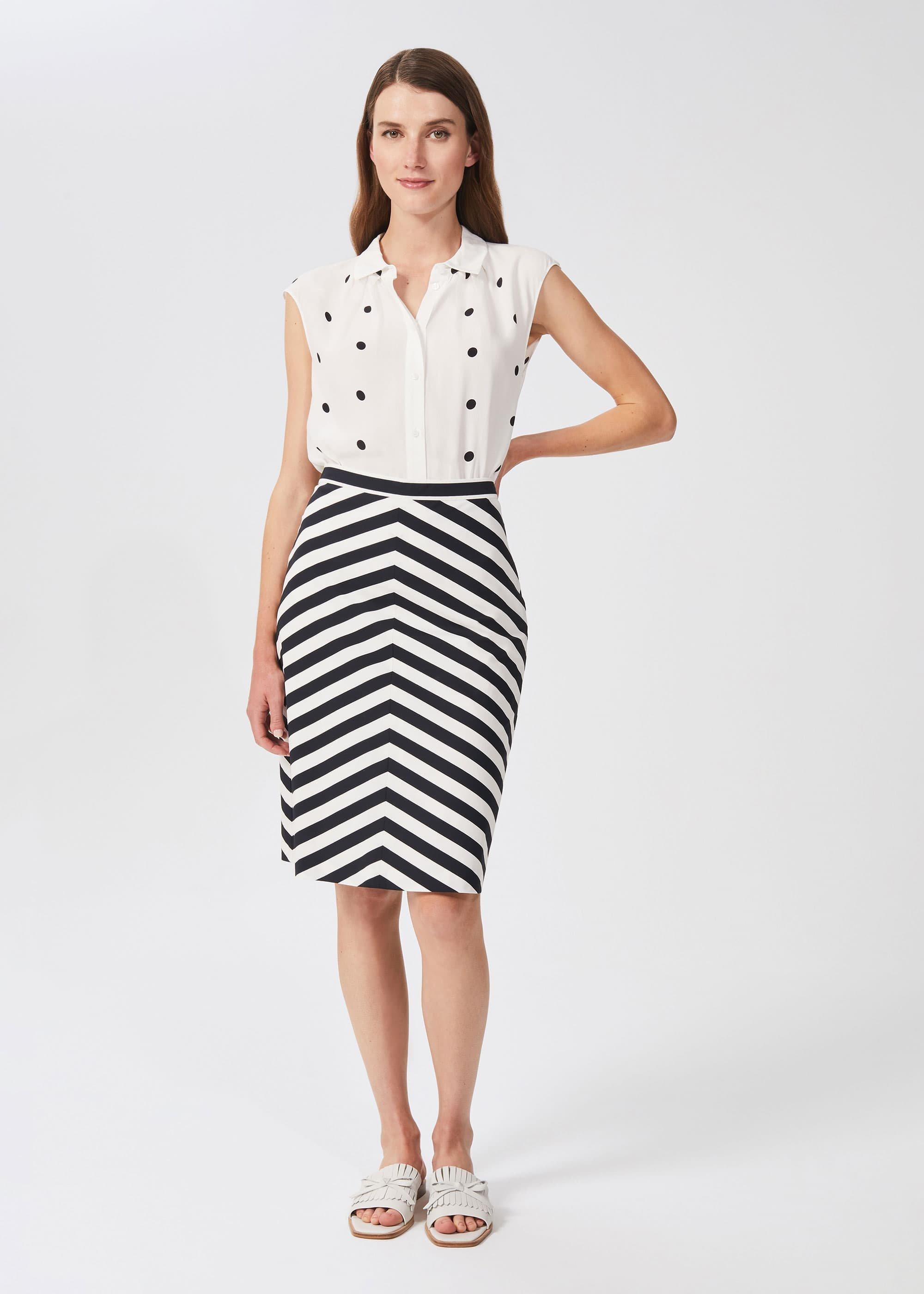 Talisa Cotton Stripe A Line Skirt, Navy White, hi-res
