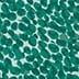 Green Ivory