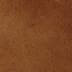Vicuna