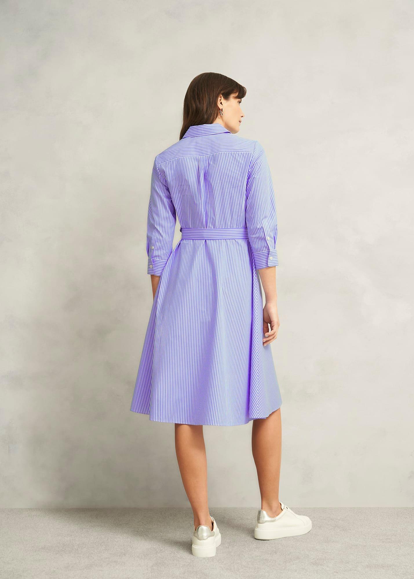 Petite Harlow Cotton Dress, Blue Ivory, hi-res