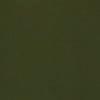 Dark Fern Green