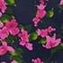 Navy Fuchsia