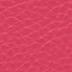 Raspberry Pink