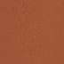 Vicuna