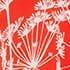 Coral Red Ivory