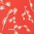 Coral Red Ivory