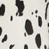 Cream Black