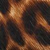Leopard Print