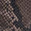 Snake Print