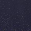 Midnight Navy