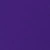 Jewel Purple