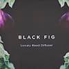 Black Fig