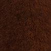 Camel Brown