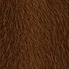Dark Camel