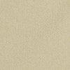 Pale Sage Green
